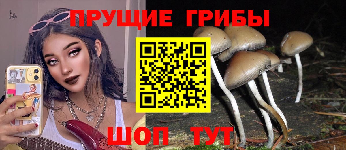Беслан  Псилоцибиновые грибы ЛСД  Вход с VPN  Галлюциногенные грибы мухоморы 