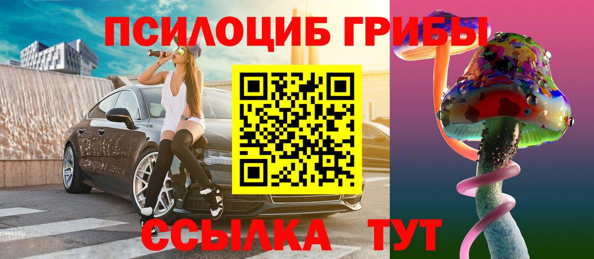 Галлюциногенные грибы Psilocybine cubensis Беслан